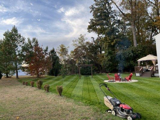 More stripes on the new lawn, roughly 75 days post renovation