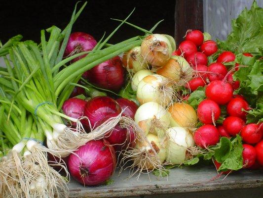 Putnam Valley Farmers Market