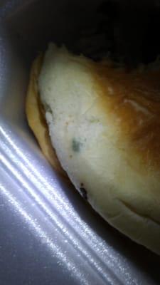 Moldy bun