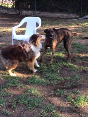 Lucy trying to make friends but wishing she was at the Pasadena park