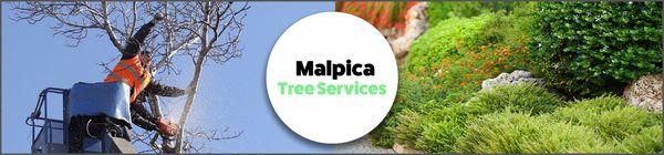 Malpica Home Improvement