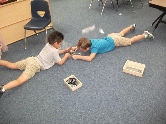 Preschool students investigating