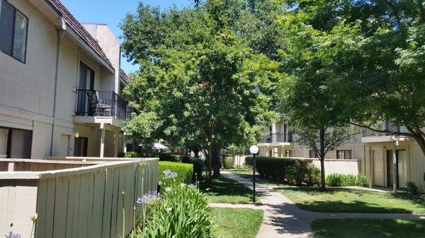 A tree-lined court yard