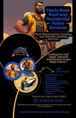 Mario Bees Gutter Cleaning and Roof Repair