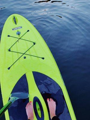 Paddle Boards