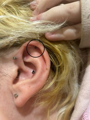 new helix piercing (circled)