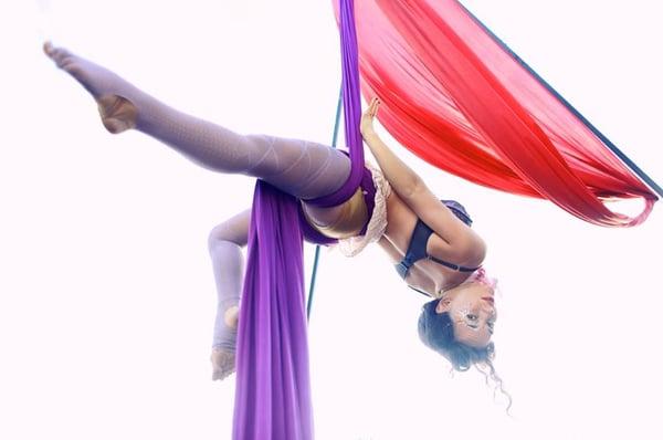 Aerialists of every style on every color! Ari Fairy flys high above the rest!