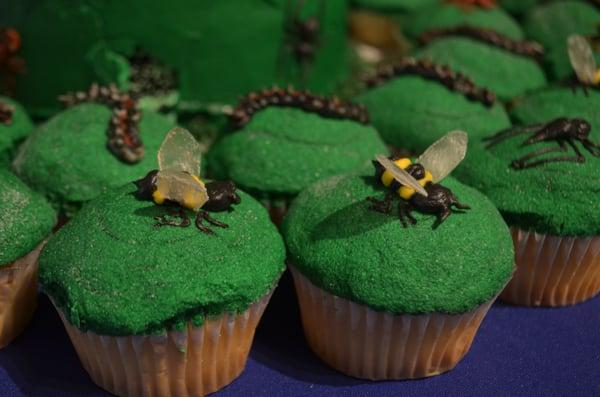 Bug themed cupcakes for birthday party at the Insectarium