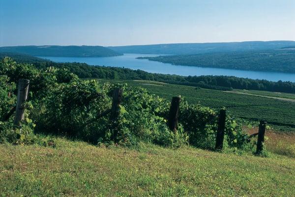 Steuben County Conference & Visitors Bureau