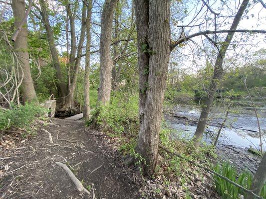 Beaver Brook Reservation