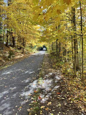 Leelanau trail October