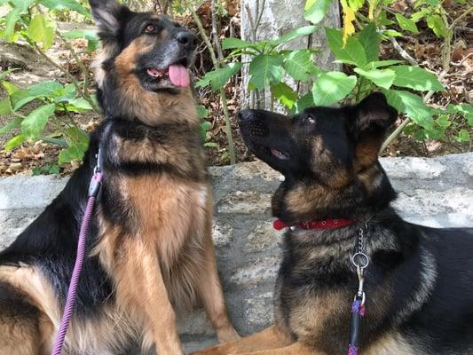 Connor on the right with his foster brother