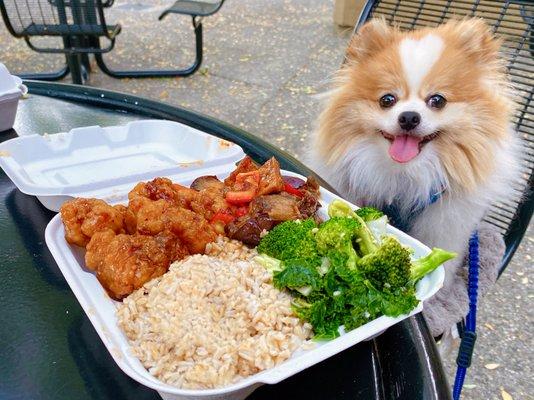 2 Entree Plate: 1/2 brown rice, 1/2 super greens, orange chicken, eggplant tofu | $8.20 (located inside Stanford University's Tresidder)