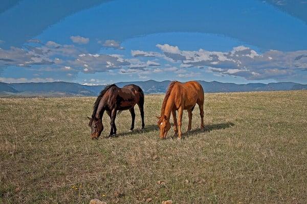 Wyoming is beautiful Cowboy Country