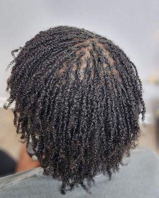 Two strand starter micro locs