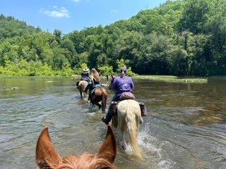 Ride onto miles and miles of trails throughout the Big South Fork!