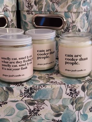 "Cats are cooler than people" candles