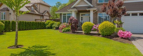 Signature Lawn and Landscape