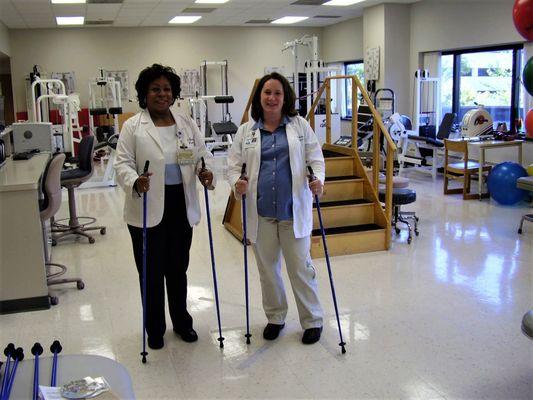 #1 walking poles for seniors and those with balance issues. PT and doctor recommended. 1-piece poles are safer than cheap collapsible poles