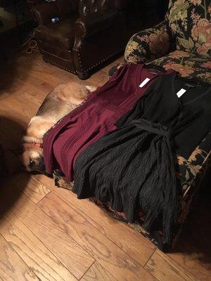 Two beautiful sweater dresses with my big baby German Shepherd guarding them. LOL