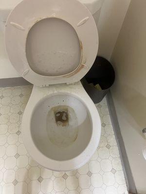 Dirty toilet