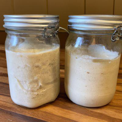 Sourdough starter "Alice"