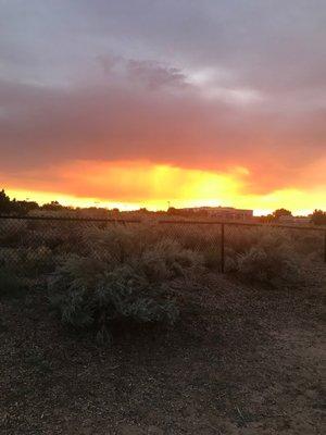 Dog Park Sunset