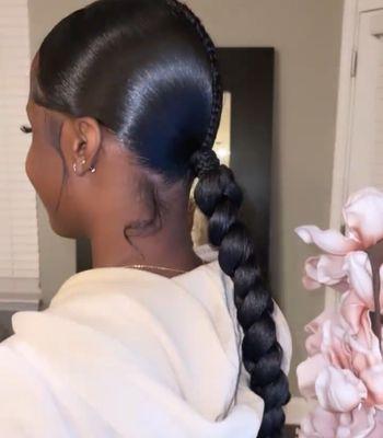 Sleek Braided Ponytail