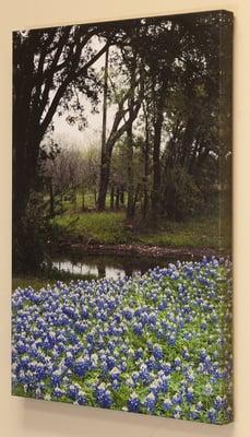 Special Place near Elgin TX byi Joyce Kay Weaver All Rights Reserved