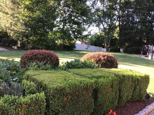 Neighbors that cut down trees