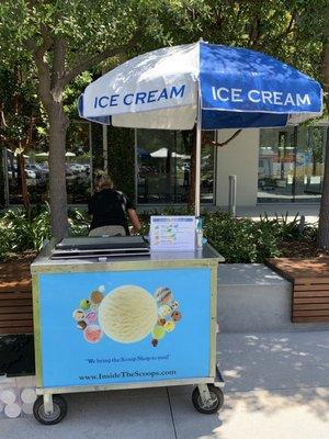 Inside The Scoops Ice Cream Cart