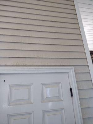 Vinyl Siding Cleaning before