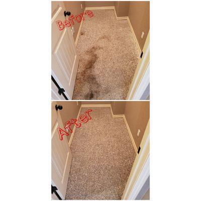 Carpet stains before and after