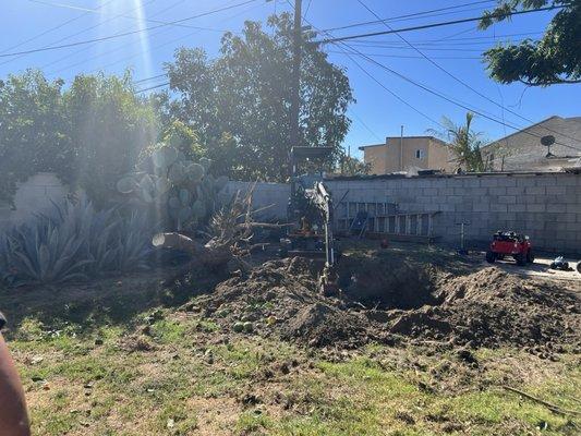 This picture is what our backyard look like before S.A. Landscape came to give it a makeover.