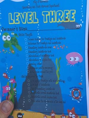 Level three requirements