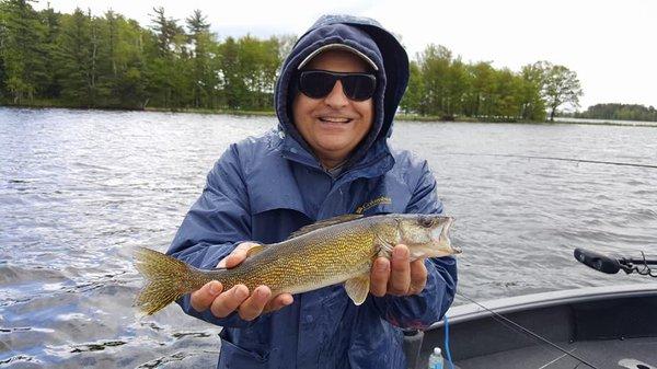 Chippewa Flowage Walleye