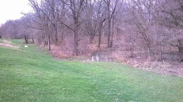 trails can flood since it is near the creek