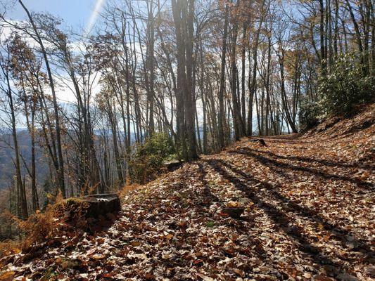 Cataloochee ranch