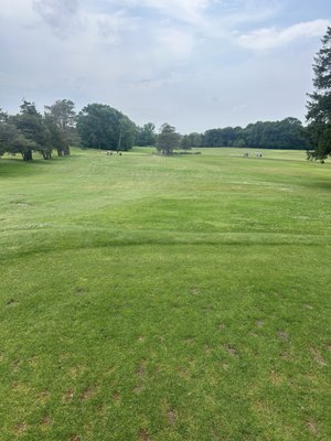 Golf course