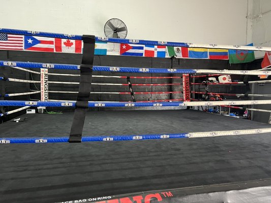 20x20 professional boxing ring