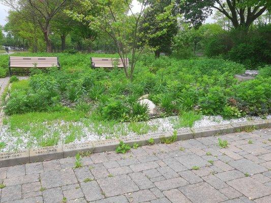 A north-facing view of the benches on the greenery in the shadow of County Route 83.