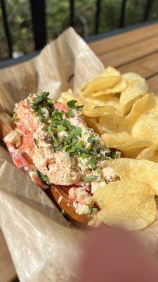 Lobster roll