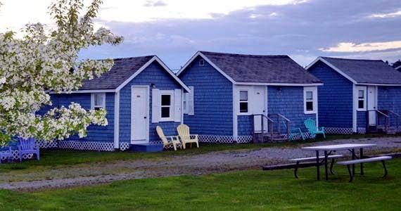 Blueberry Patch Motel & Cabins