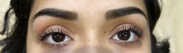 Eyebrow Clean & Tint  Eyelash Lift & Tint