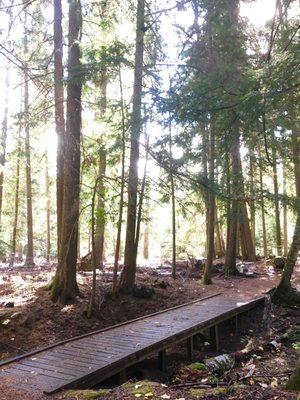 Walking Bridge on a trail at Indian Creek.