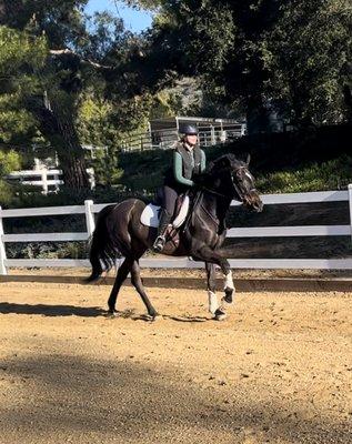 Angie Martin Lapinski Training Stable