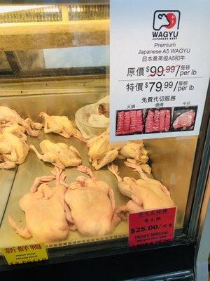 Fresh Chicken