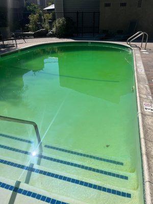 The pool turns green every 1 to 2 weeks because they can't find a pool company that can do their job.