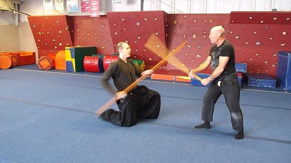 Bujinkan dojo Green bay and Sturgeon bay