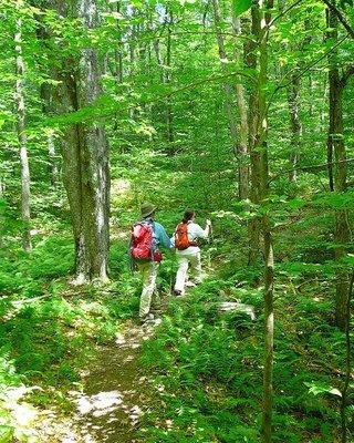 JTX does hiking trips throughout the Western Poconos and the Jim Thorpe area.